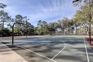 9481 Highland Oak Dr, Tampa, FL 33647 - Photo 54