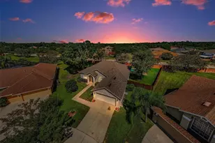 8604 Herons Cove Pl, Tampa, FL 33647 - Photo 4