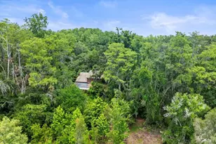 16035 Chastain Rd, Odessa, FL 33556 - Photo 6