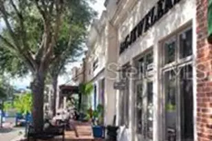 6207 Bleeker St, Riverview, FL 33578 - Photo 46