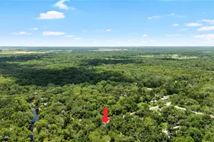 34147 Ringwalt Dr, Ridge Manor, FL 33523 - Photo 2