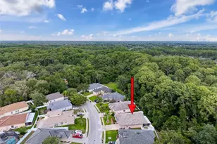 12200 Hunters Lake Dr, New Port Richey, FL 34654 - Photo 88