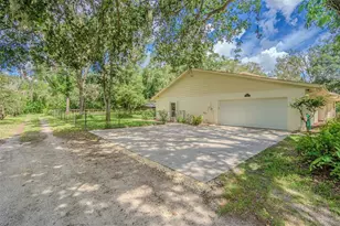 18110 30th St, Lutz, FL 33559 - Photo 46