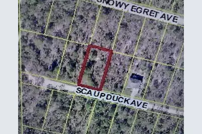 Scaup Duck Avenue, Weeki Wachee, FL 34614 - Photo 4