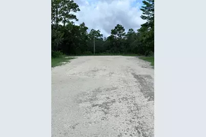 Scaup Duck Avenue, Weeki Wachee, FL 34614 - Photo 6