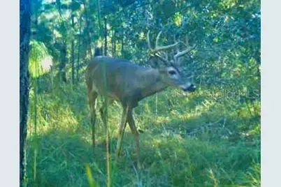 00 Unnamed, Spring Hill, FL 34610 - Photo 34