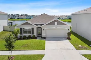 33369 Hamilton Hl Ln, Wesley Chapel, FL 33545 - Photo 1