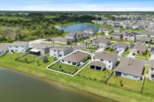 33369 Hamilton Hl Ln, Wesley Chapel, FL 33545 - Photo 32