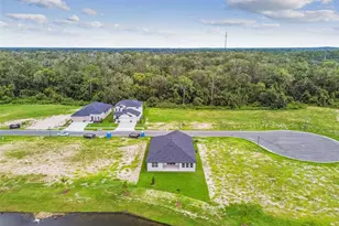 11324 Striped Bass Ct, New Port Richey, FL 34654 - Photo 78