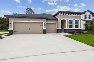 11303 Striped Bass Ct, New Port Richey, FL 34654 - Photo 1