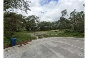 3310 Treiman Blvd, Dade City, FL 33523 - Photo 1