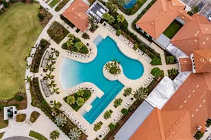 17334 Holly Wl Ave, Wimauma, FL 33598 - Photo 74