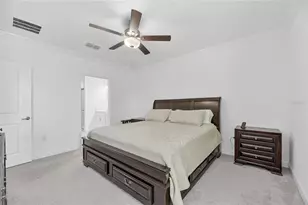 17334 Holly Wl Ave, Wimauma, FL 33598 - Photo 26