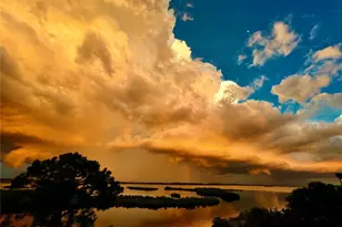 10701 Pine Island Dr, Weeki Wachee, FL 34607 - Photo 12