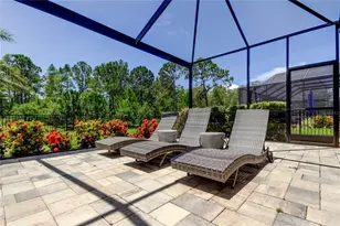 4372 Night Star Trail, Odessa, FL 33556 - Photo 30