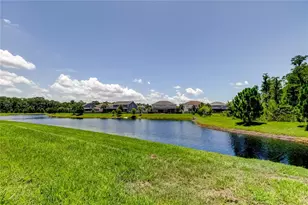 4372 Night Star Trail, Odessa, FL 33556 - Photo 32