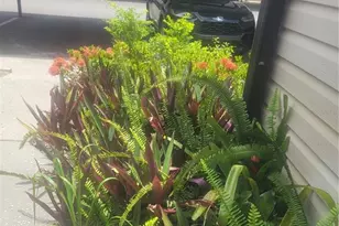 5125 Puritan Cir, Tampa, FL 33617 - Photo 4