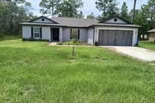 12253 Island Shrike Rd, Brooksville, FL 34614 - Photo 1