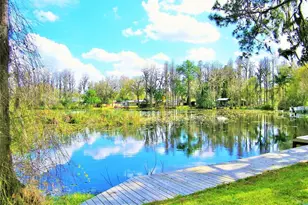 17017 Paula Ln, Lutz, FL 33558 - Photo 40