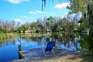 17017 Paula Ln, Lutz, FL 33558 - Photo 46
