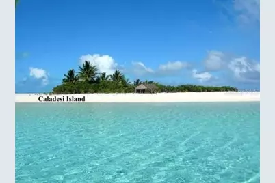 1701 Pinehurst Road #24B, Dunedin, FL 34698 - Photo 70