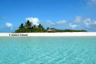 1701 Pinehurst Rd, Dunedin, FL 34698 - Photo 70