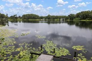 1934 Rowland Dr, Odessa, FL 33556 - Photo 2