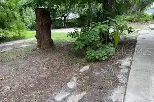 1321 River St, Palatka, FL 32177 - Photo 4