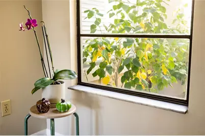 419 Bloomingfield Drive, Brandon, FL 33511 - Photo 40