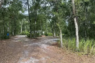 14347 Old Hunter Rd, Brooksville, FL 34601 - Photo 20