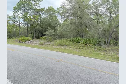 0 Fulton Avenue, Weeki Wachee, FL 34613 - Photo 2