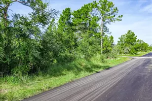 212 Avenger St NW, Lake Placid, FL 33852 - Photo 10