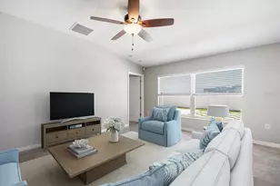 9607 Lemon Drop Loop, Ruskin, FL 33573 - Photo 4