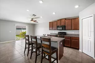 9607 Lemon Drop Loop, Ruskin, FL 33573 - Photo 8