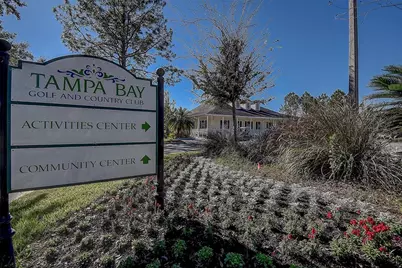 29417 Caddyshack Lane, San Antonio, FL 33576 - Photo 44