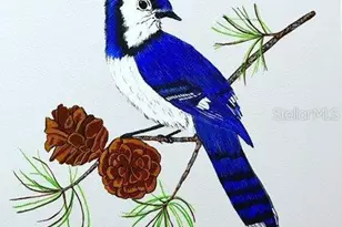 215 Red Maple Dr, Palm Harbor, FL 34684 - Photo 32