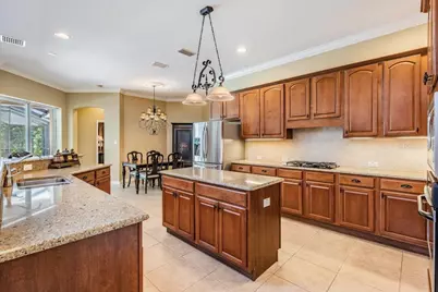 14677 Canopy Drive, Tampa, FL 33626 - Photo 6