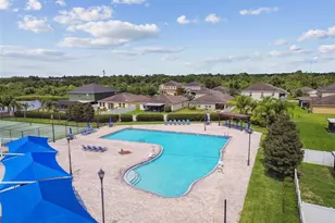 7842 Carriage Pointe Dr, Gibsonton, FL 33534 - Photo 26