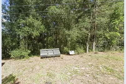 3737 S Diamond Avenue, Inverness, FL 34452 - Photo 2