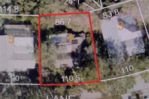 155 Woodcutter Ln, Palm Harbor, FL 34683 - Photo 46