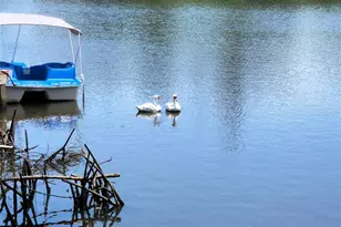 6975 Edgewater Dr, New Port Richey, FL 34652 - Photo 2