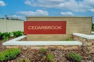 13136 Peachleaf Ave, Riverview, FL 33579 - Photo 58