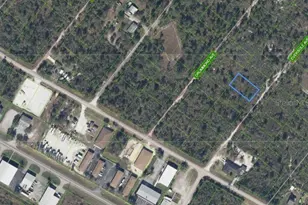 120 Eversole Ave, Lake Placid, FL 33852 - Photo 1