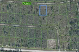 7811 Ronda St, Sebring, FL 33872 - Photo 2