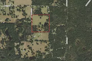 20716 Ramer Rd, Dade City, FL 33523 - Photo 2