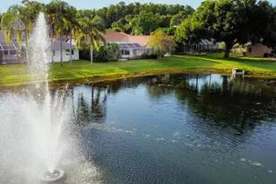 4535 Bardsdale Dr, Palm Harbor, FL 34685 - Photo 66