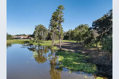 16619 Indian Mound Road, Tampa, FL 33618 - Photo 12