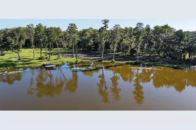 16619 Indian Mound Road, Tampa, FL 33618 - Photo 4