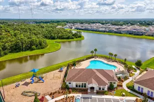 12466 Rosepine Pl, Riverview, FL 33579 - Photo 60