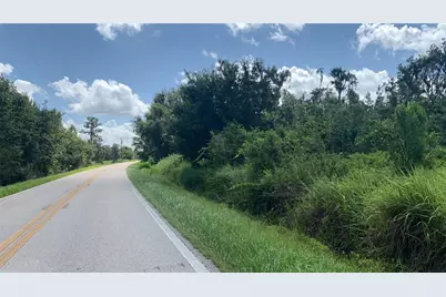 0 Sink Hole Road, Bartow, FL 33830 - Photo 4